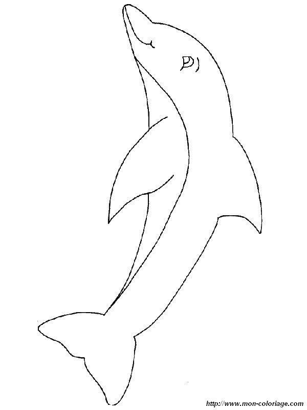 flipper-dauphin.jpg