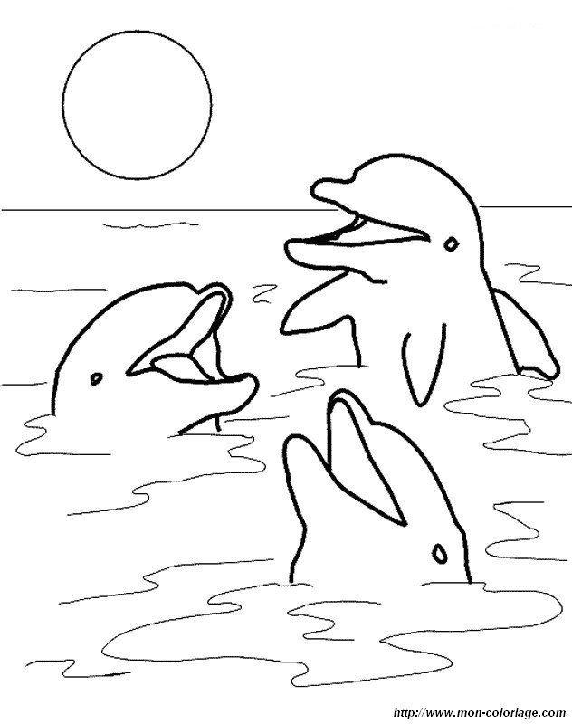 trois-dauphins.jpg